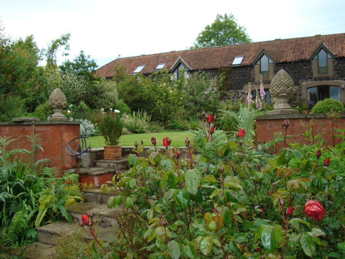 Cutty Sark Cottage Kirkton of Largo Екстериор снимка